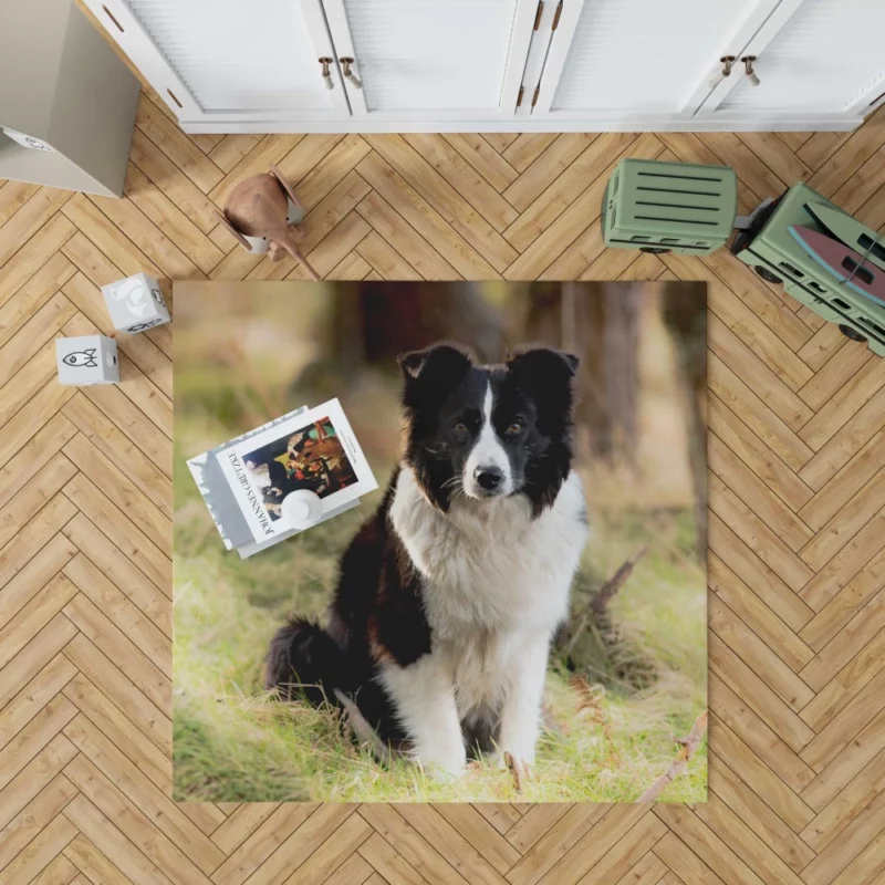 Border Collie Meadow Majesty Energetic Elegance Rug