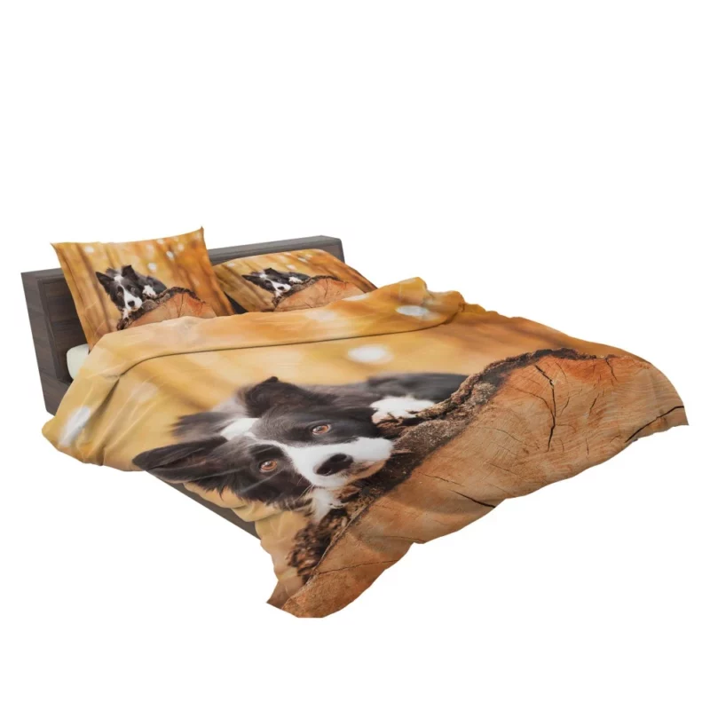 Border Collie Muzzle in Focus Canine Persona Bedding Set 2