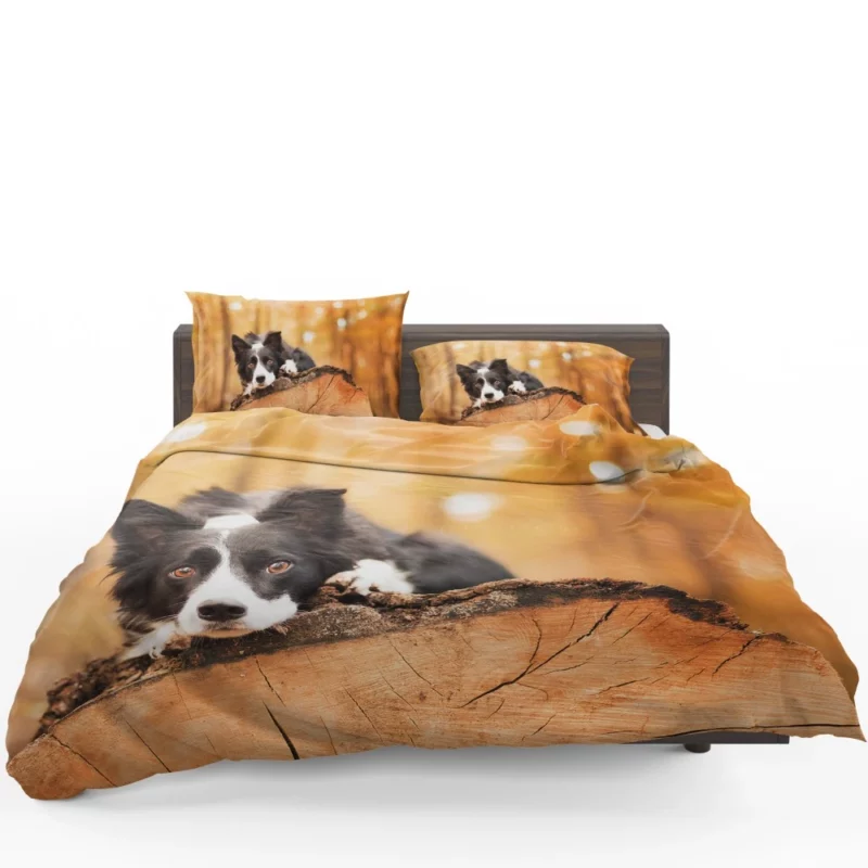 Border Collie Muzzle in Focus Canine Persona Bedding Set