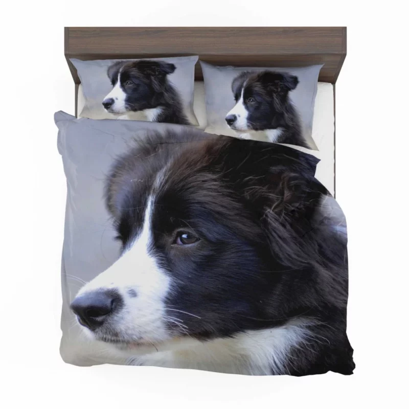 Border Collie Puppy Energetic Charm Bedding Set 1