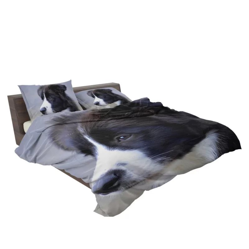 Border Collie Puppy Energetic Charm Bedding Set 2