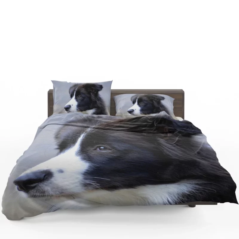 Border Collie Puppy Energetic Charm Bedding Set