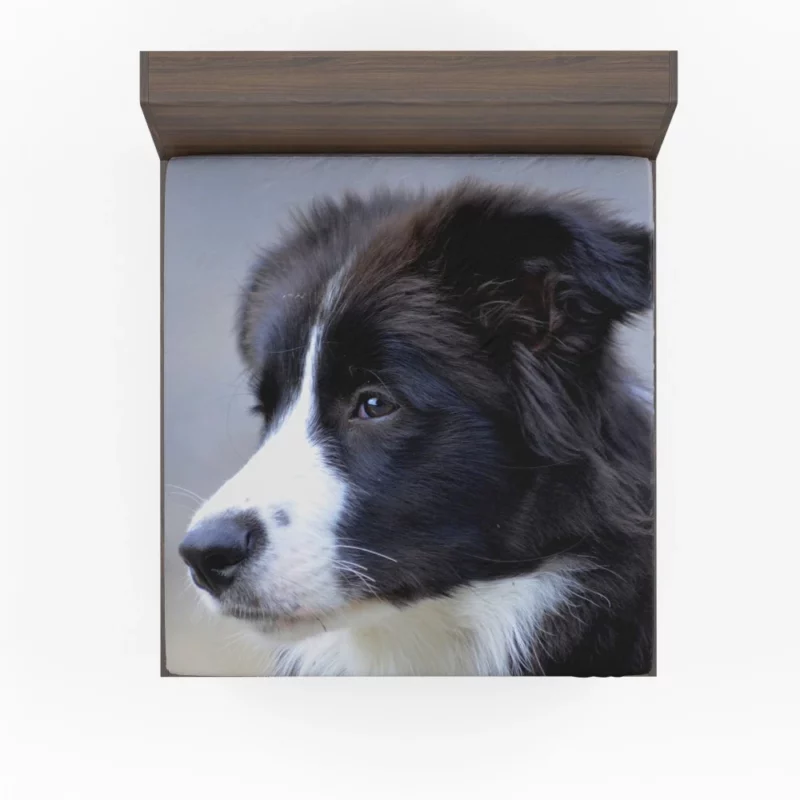 Border Collie Puppy Energetic Charm Fitted Sheet 1