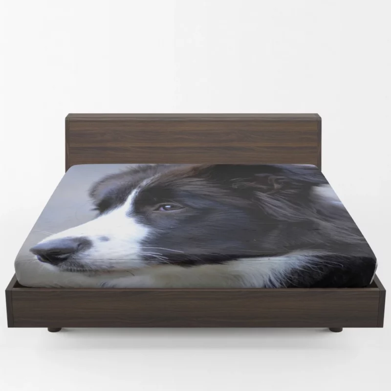 Border Collie Puppy Energetic Charm Fitted Sheet