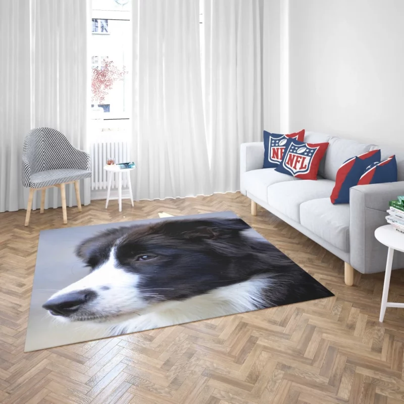 Border Collie Puppy Energetic Charm Rug 2