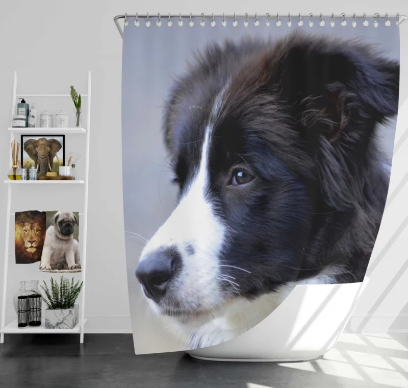 Border Collie Puppy Energetic Charm Shower Curtain