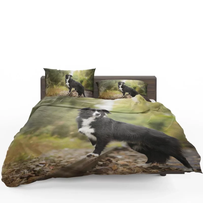 Border Collie Railroad Adventure Bedding Set