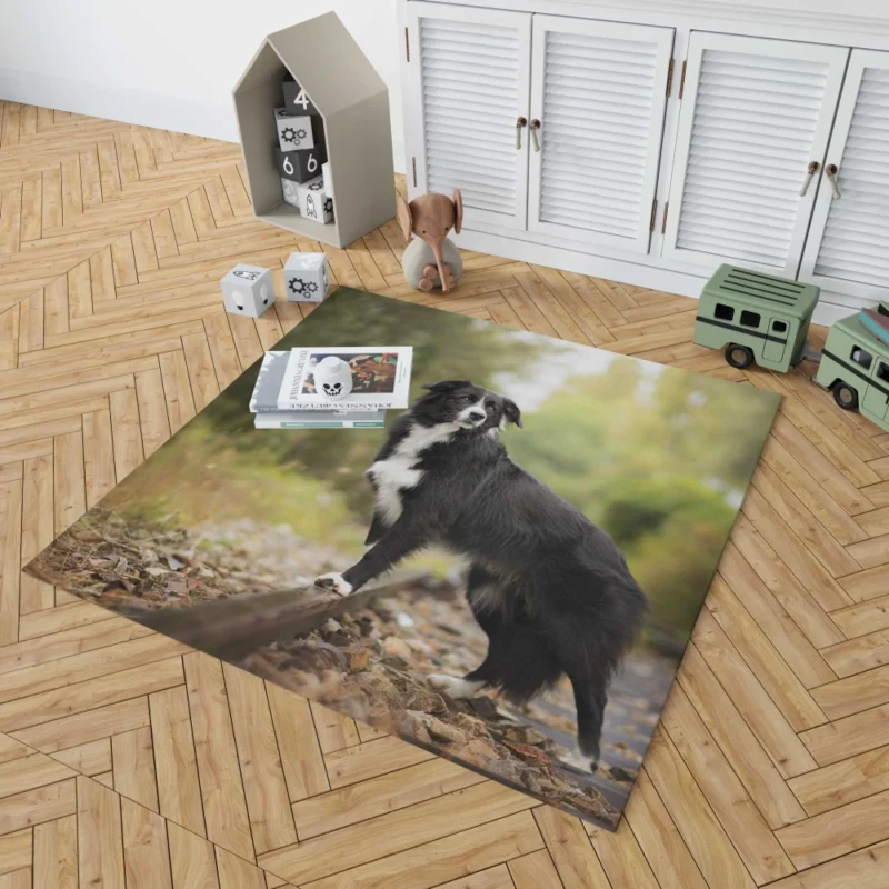 Border Collie Railroad Adventure Rug 1