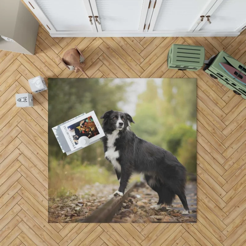 Border Collie Railroad Adventure Rug