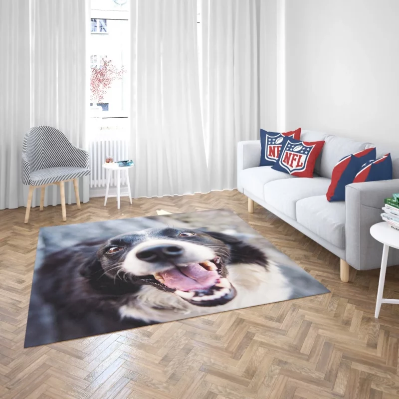 Border Collie Snowy Stare Rug 2