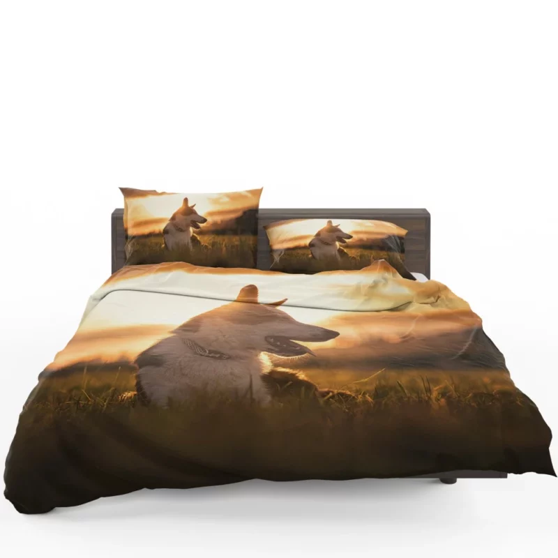 Border Collie Sunset Romp Playful Glow Bedding Set