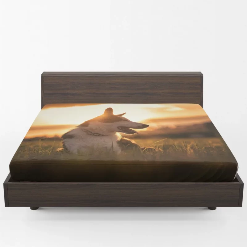 Border Collie Sunset Romp Playful Glow Fitted Sheet