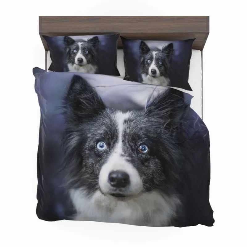 Border Collie Thoughtful Gaze Bedding Set 1