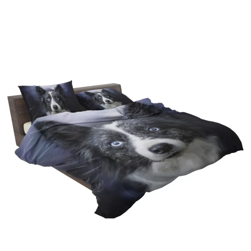 Border Collie Thoughtful Gaze Bedding Set 2