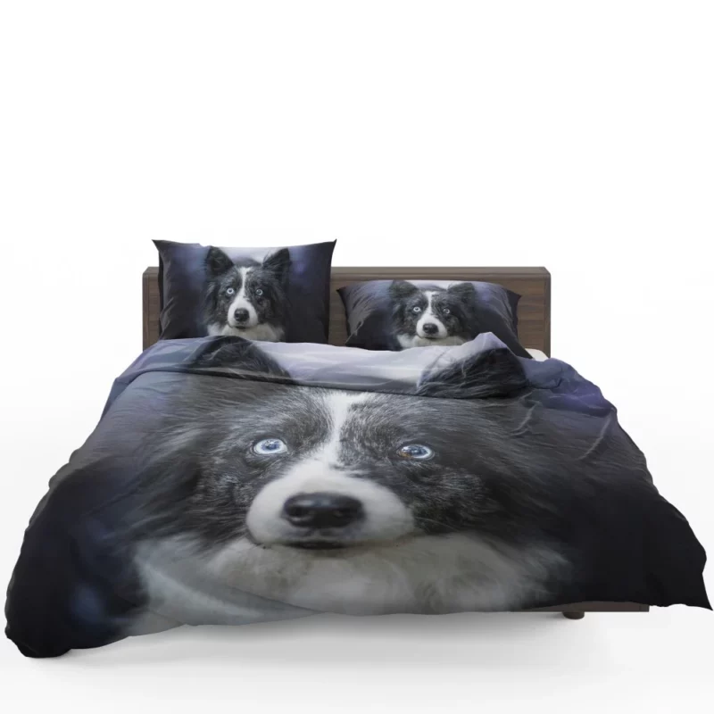 Border Collie Thoughtful Gaze Bedding Set