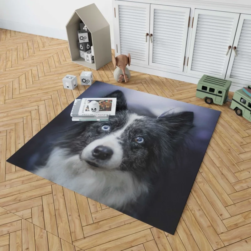 Border Collie Thoughtful Gaze Rug 1