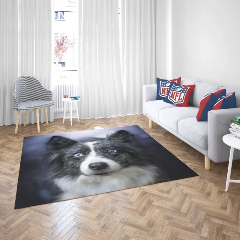 Border Collie Thoughtful Gaze Rug 2