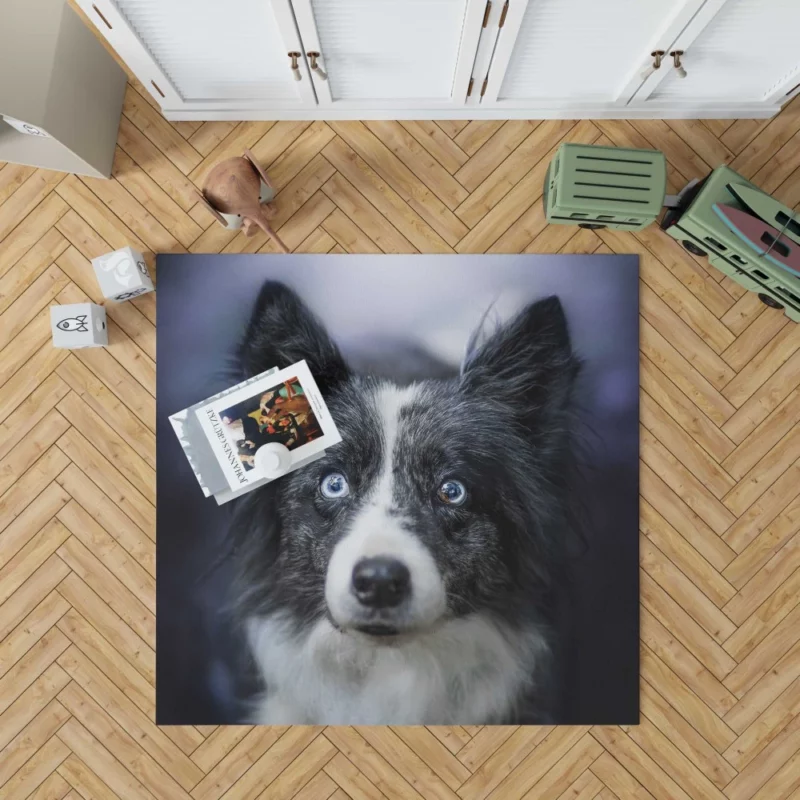 Border Collie Thoughtful Gaze Rug