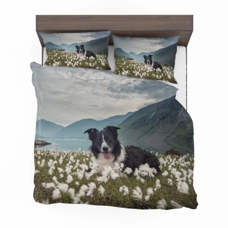 Border Collie Whimsical Waterside Moment Bedding Set 1