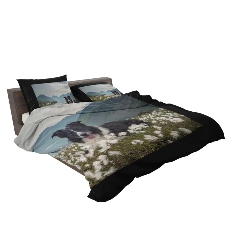 Border Collie Whimsical Waterside Moment Bedding Set 2