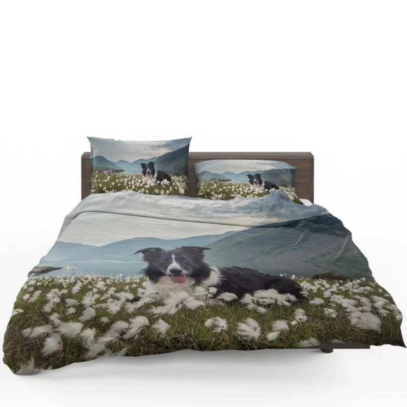 Border Collie Whimsical Waterside Moment Bedding Set