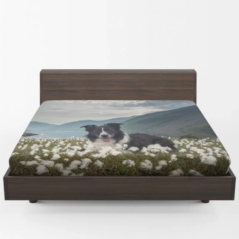 Border Collie Whimsical Waterside Moment Fitted Sheet