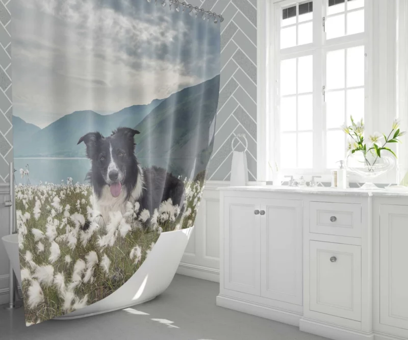 Border Collie Whimsical Waterside Moment Shower Curtain 1