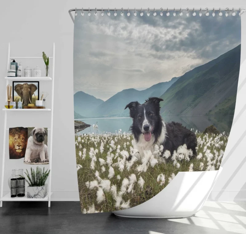 Border Collie Whimsical Waterside Moment Shower Curtain