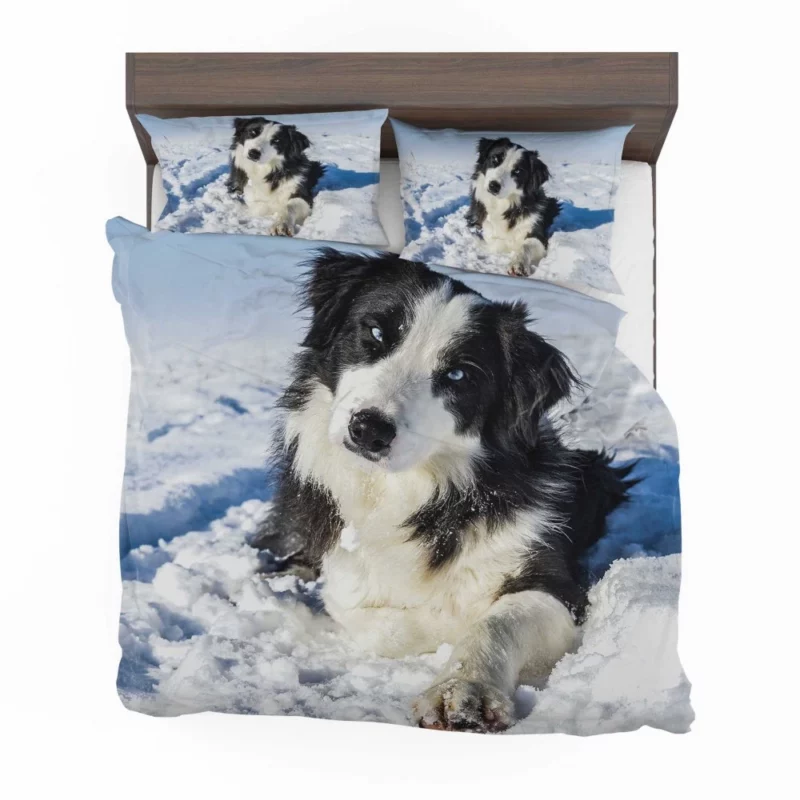 Border Collie Winter Adventure Snowy Delight Bedding Set 1