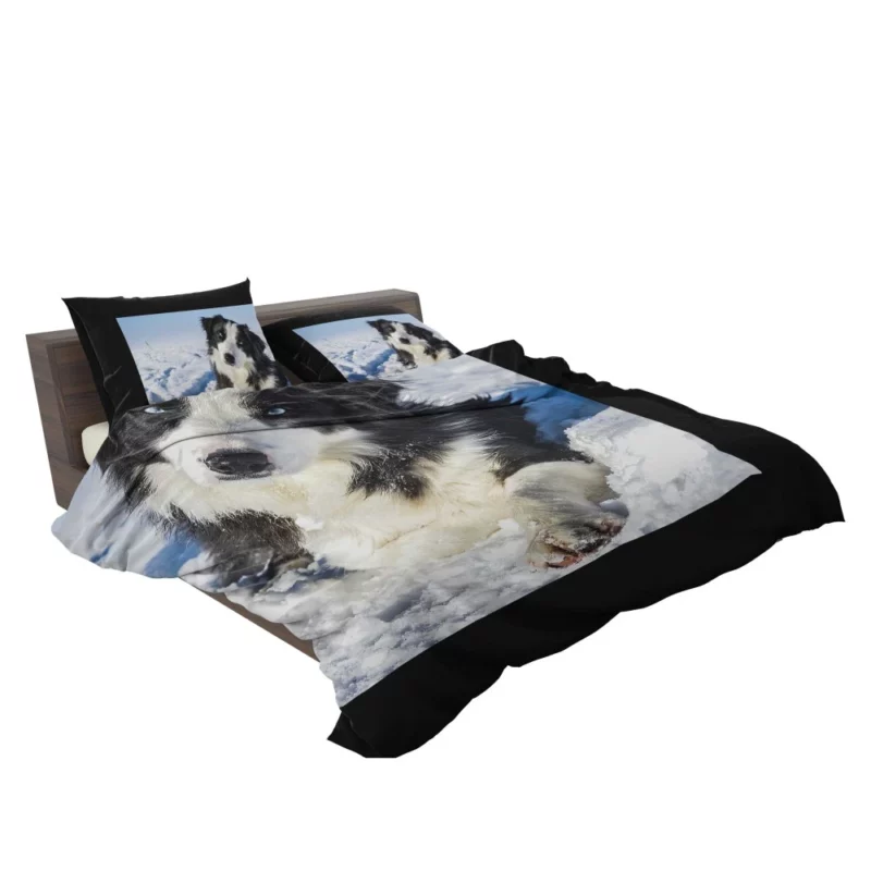 Border Collie Winter Adventure Snowy Delight Bedding Set 2