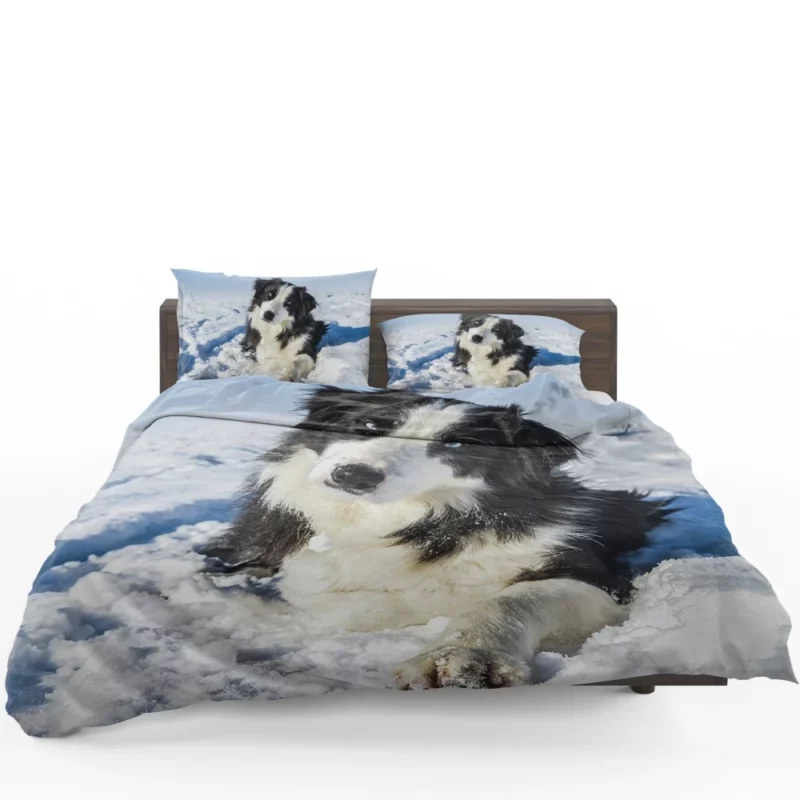 Border Collie Winter Adventure Snowy Delight Bedding Set