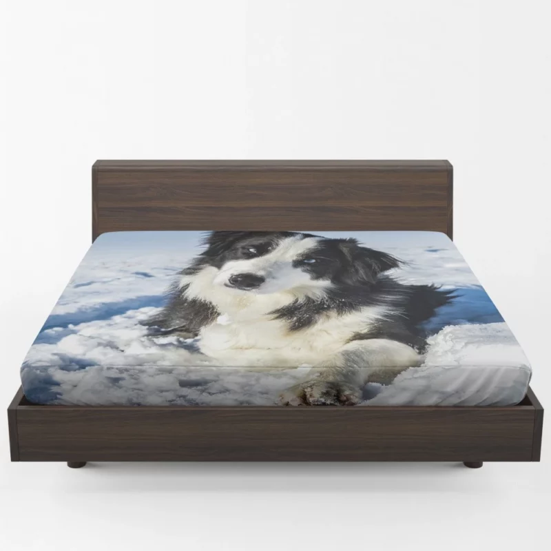 Border Collie Winter Adventure Snowy Delight Fitted Sheet