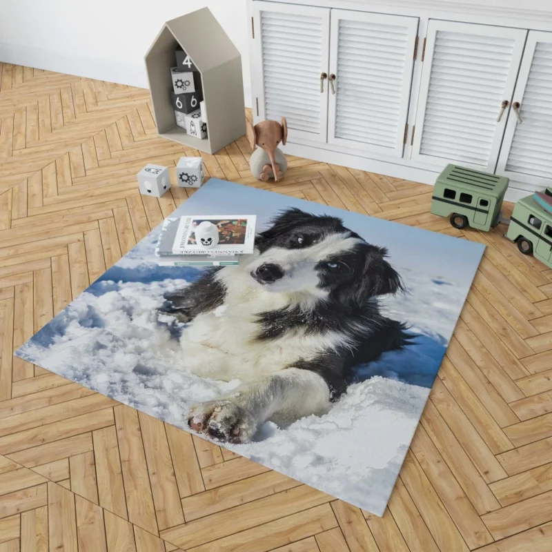 Border Collie Winter Adventure Snowy Delight Rug 1