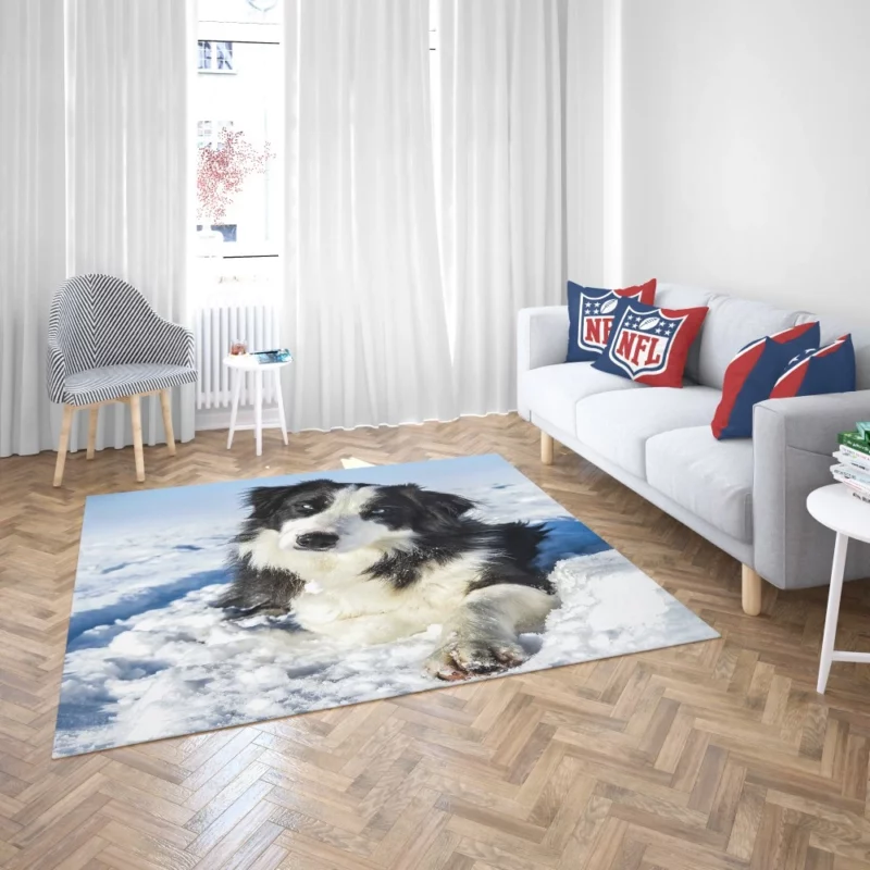 Border Collie Winter Adventure Snowy Delight Rug 2