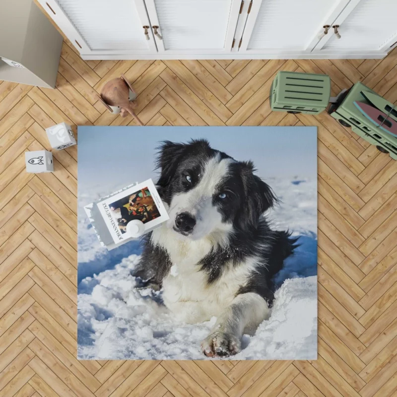 Border Collie Winter Adventure Snowy Delight Rug