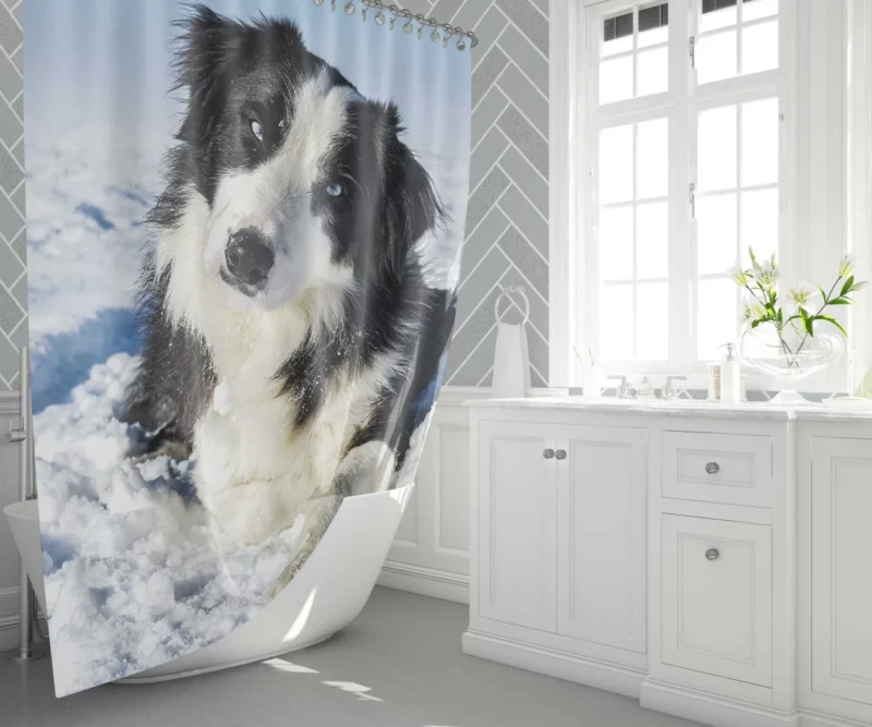 Border Collie Winter Adventure Snowy Delight Shower Curtain 1