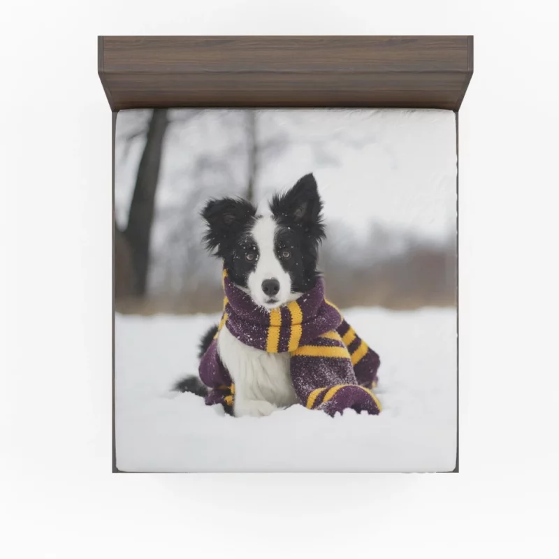 Border Collie Winter Elegance Fitted Sheet 1