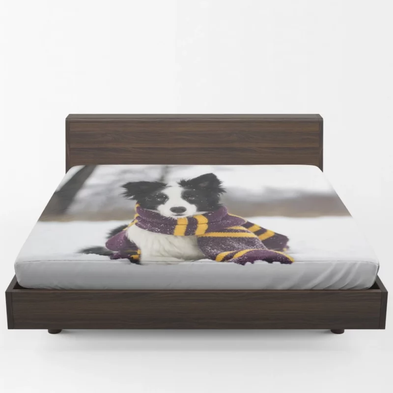 Border Collie Winter Elegance Fitted Sheet