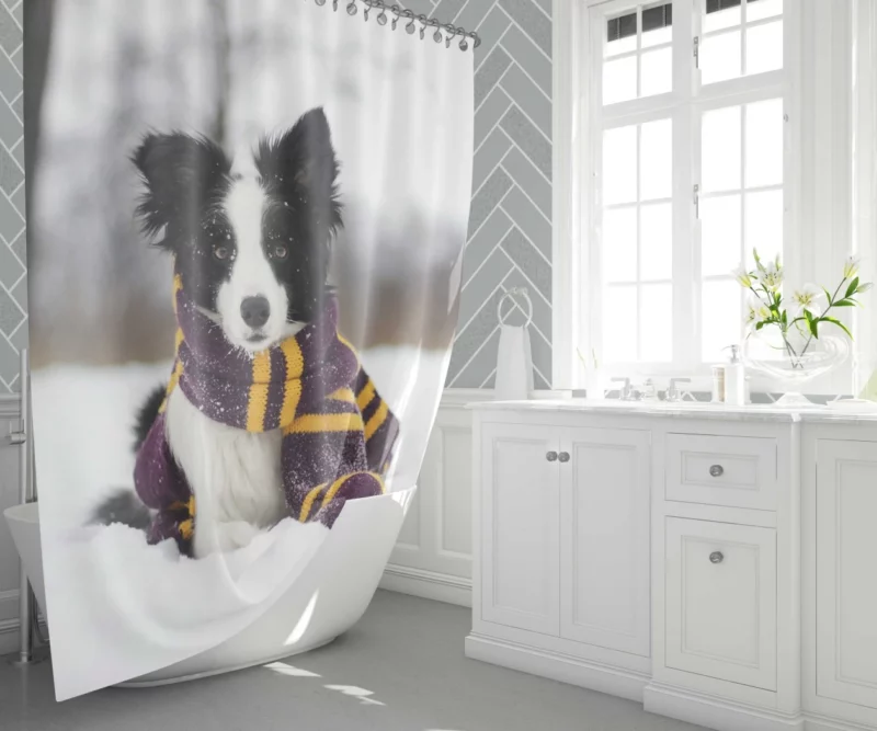 Border Collie Winter Elegance Shower Curtain 1