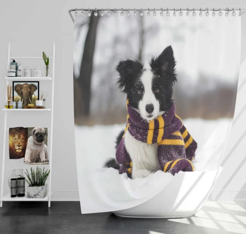 Border Collie Winter Elegance Shower Curtain