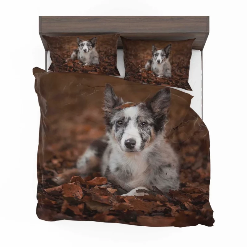 Border Collie in Autumn Leafy Wonder Bedding Set 1