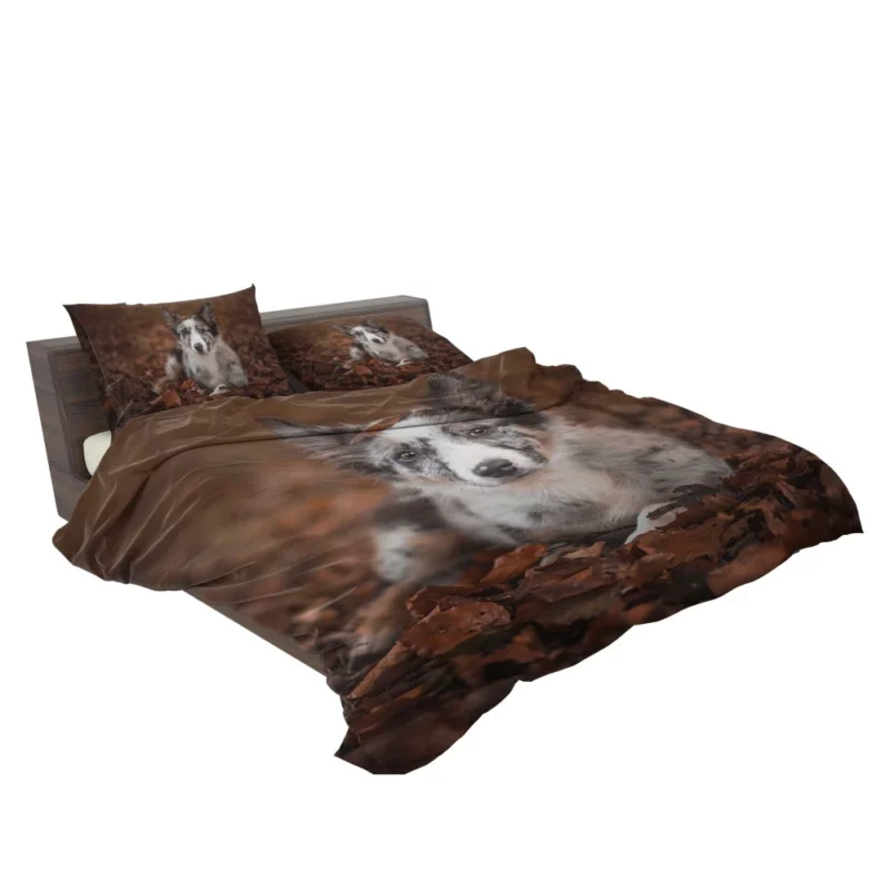 Border Collie in Autumn Leafy Wonder Bedding Set 2