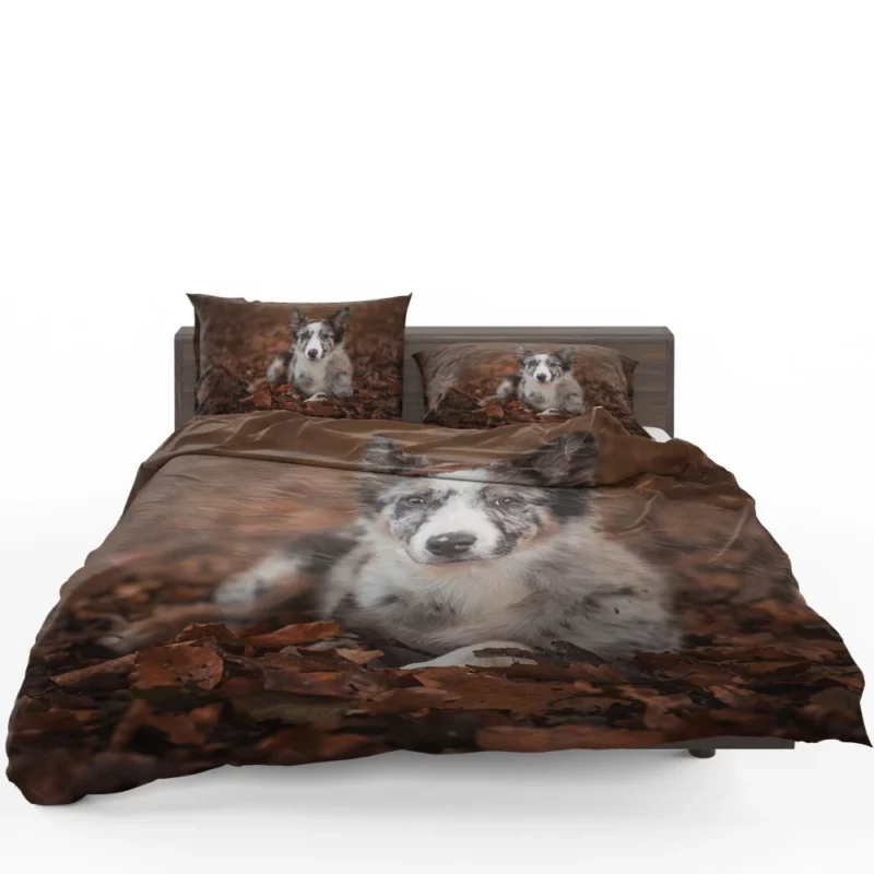 Border Collie in Autumn Leafy Wonder Bedding Set