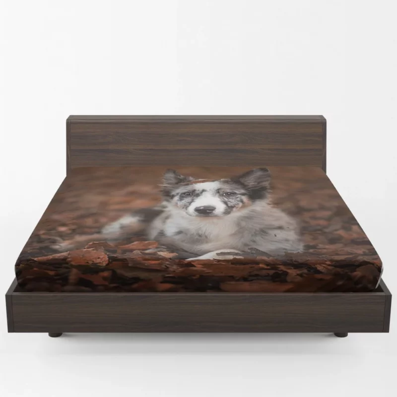 Border Collie in Autumn Leafy Wonder Fitted Sheet