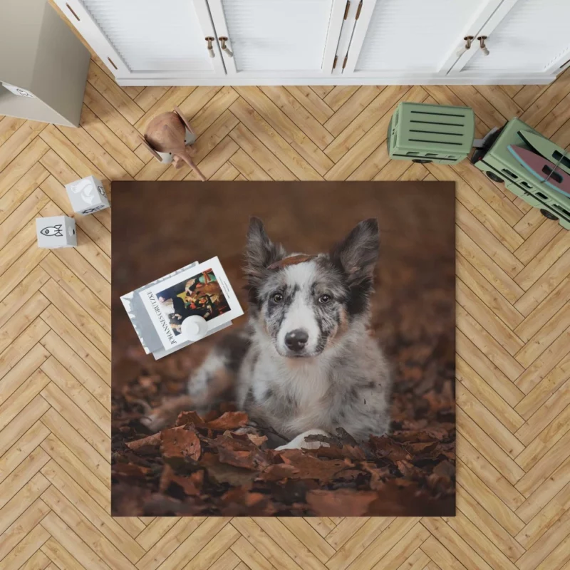 Border Collie in Autumn Leafy Wonder Rug