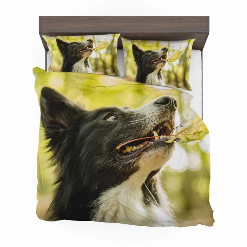 Border Collie in Autumn Nature Joy Bedding Set 1