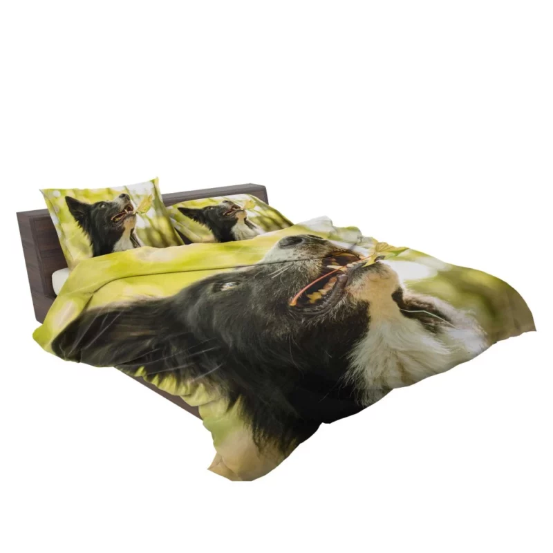 Border Collie in Autumn Nature Joy Bedding Set 2