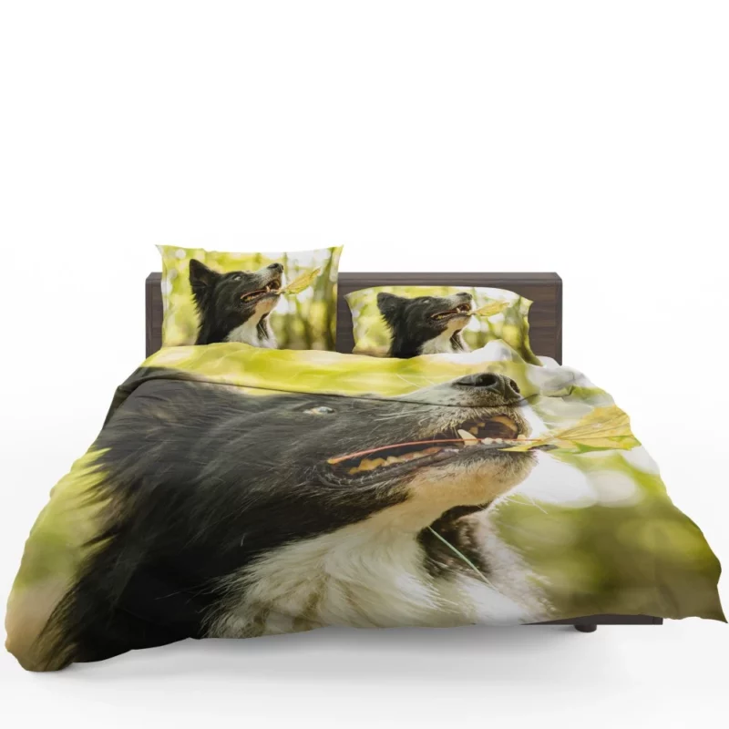 Border Collie in Autumn Nature Joy Bedding Set