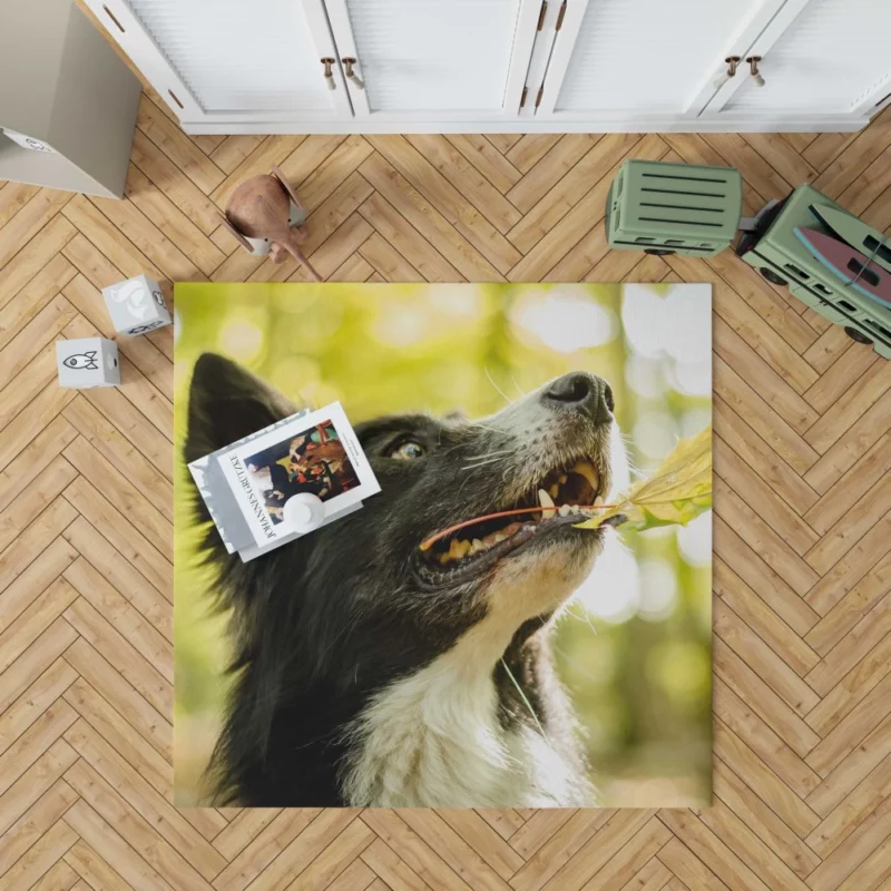 Border Collie in Autumn Nature Joy Rug