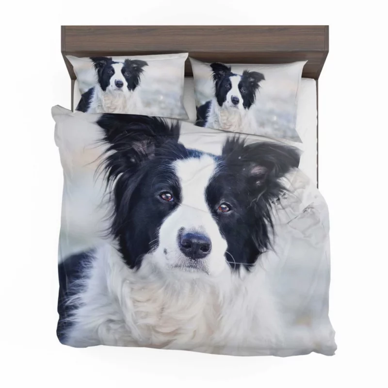 Border Collie in Bokeh Playful Elegance Bedding Set 1